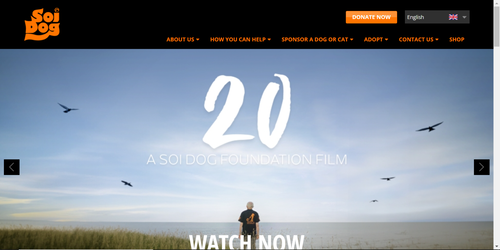 soi-dog-homepage